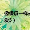 像傻瓜一样去爱(娱乐没有圈)（像傻瓜一样去爱5）