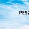 PES2009（pes2009 5 0）