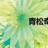 青松奇迹怎么样（青松奇迹）