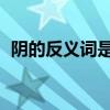 阴的反义词是什么 标准答案（阴的反义词）