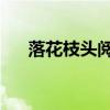 落花枝头阅读题（落花枝头 阅读答案）