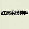 红高粱模特队音乐歌曲（红高粱模特队音乐）