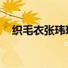 织毛衣张玮玮歌曲下载（织毛衣 张玮玮）