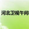 河北卫视午间视野报道（河北卫视午间视野）