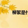 柳絮是什么电视剧（柳絮是什么）