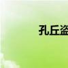 孔丘盗跖俱尘埃!（孔丘盗跖）