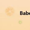 BabolatPD 球拍 200多块