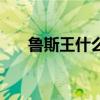 鲁斯王什么特性好(鲁斯王怎么融合) 鲁斯王什么特性好(鲁斯王怎么融合)