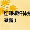 红辣椒纤体按摩凝露怎么用（红辣椒纤体按摩凝露）
