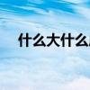 什么大什么成语(什么什么为什么成语) 什么大什么成语(什么什么为什么成语)