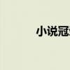 小说冠荣华（冠华居言情小说）