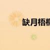 缺月梧桐txt下载（缺月梧桐txt）