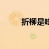 折柳是啥意思（折柳指的是什么）
