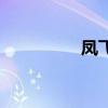 凤飞飞小说（飞酷小说）