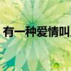 有一种爱情叫兄弟结局（有一种爱情叫兄弟）