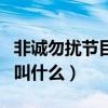 非诚勿扰节目开场曲叫什么（非诚勿扰开场曲叫什么）