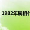 1982年属相什么生肖什么命（1982年属相）