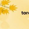 torchlighter歌词片假名