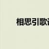 相思引歌词什么意思（相思引 歌词）