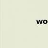 wooboox（wooboo）