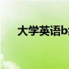 大学英语b级真题试卷（大学英语b级）
