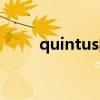 quintus的意思（quintus怎么读）