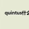 quintus什么意思中文（quintus怎么读）