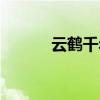 云鹤千年下载（云鹤千年私服）