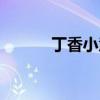 丁香小慧是谁打的（丁香小慧）