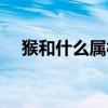 猴和什么属相最配（蛇和什么属相最配）