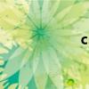 csoline(csoline) csoline(csoline)
