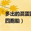 多出的混蛋四胞胎txt书包网（多出来的混蛋四胞胎）