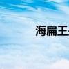 海扁王是什么(海扁王好看吗) 海扁王是什么(海扁王好看吗)