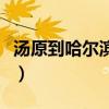 汤原到哈尔滨西站火车时刻表（汤原到哈尔滨）