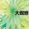 大蜘蛛官网下载（大蜘蛛官网）