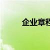 企业章程是什么样子（企业章程）