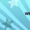 wm wiki（wm论坛）