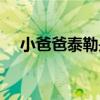 小爸爸泰勒是什么样的人（小爸爸泰勒）