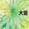 大亚 官网（大亚场站网址）