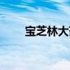 宝芝林大药房官网（宝芝林大药房）