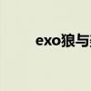 exo狼与美女鹿晗（exo狼与美女）