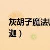 灰胡子魔法师维迦稀有吗（灰胡子魔法师 维迦）