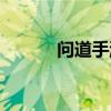 问道手游申公豹（问道速龙豹）