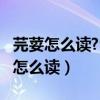 芫荽怎么读?它是香菜的别名你知道吗?（芫荽怎么读）