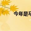 今年是马年贺词（马年新年贺词）