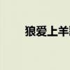 狼爱上羊歌词简谱（狼爱上羊歌词）