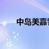中岛美嘉雪花歌词（雪花 中岛美嘉）