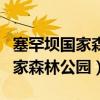 塞罕坝国家森林公园属于哪个城市（塞罕坝国家森林公园）