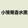 小雏菊香水黑色包装（小雏菊香水真假辨别）