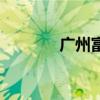 广州富康制衣厂（广州富康）